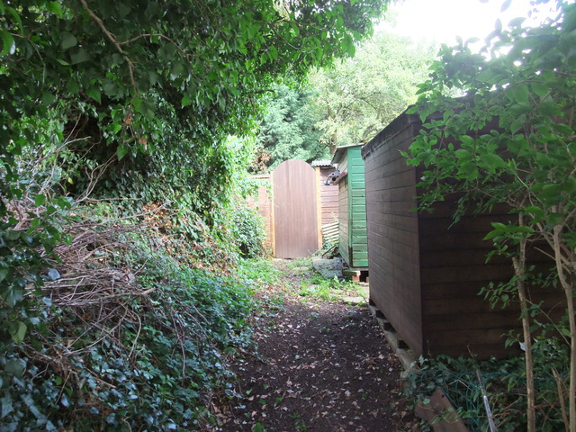 dscf7189.jpg